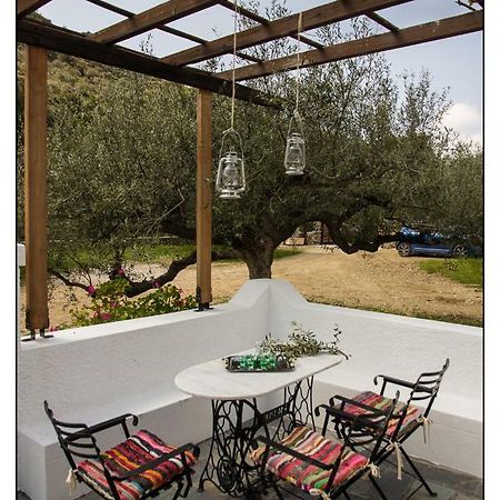 فيلا Liodentro House كارباثوس المظهر الخارجي الصورة