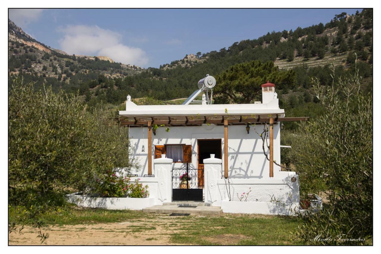 فيلا Liodentro House كارباثوس المظهر الخارجي الصورة